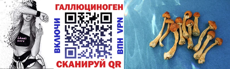 Псилоцибиновые грибы мицелий  Андреаполь 
